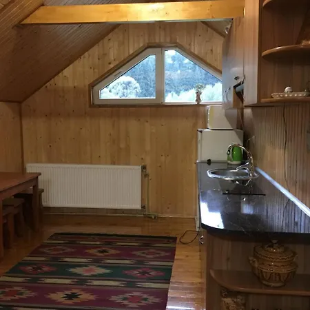 барви карпат Konukevi Vorokhta